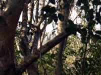 P3137932