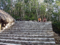 P3137935