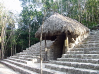 P3137936
