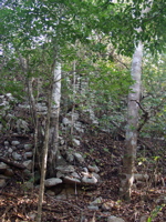 P3137938