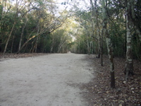 P3137940