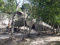 P3137867