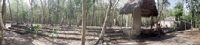 Coba Platform