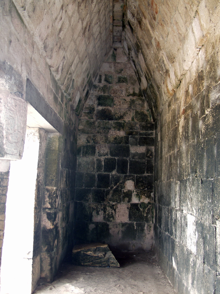 P3178435