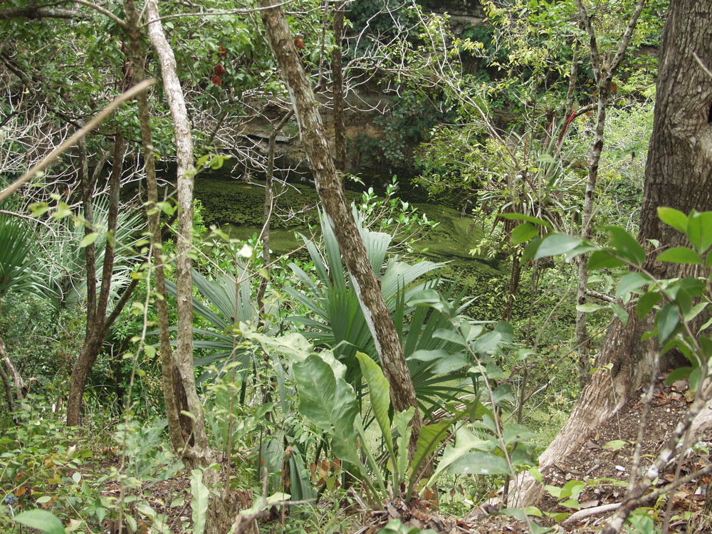 P3178499