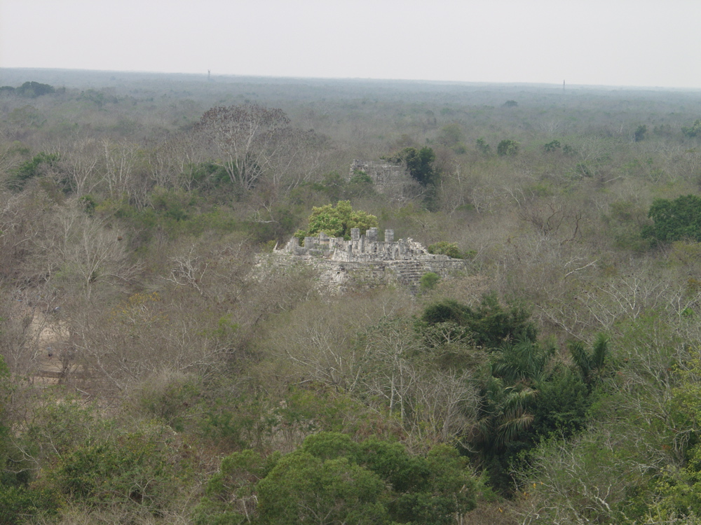 P3178595