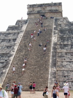 P3178546