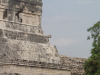 P3178548