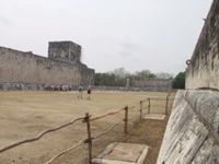 P3178578
