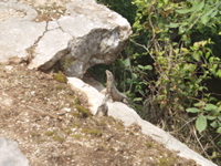 P3178588