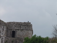 P3178599