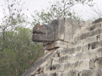 P3178448