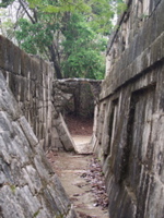 P3178464