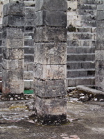 P3178466