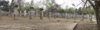 Chichan Itza SE Colanaide 2