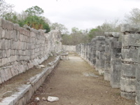P3178494