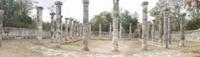 Chichan Itza SE colanaide
