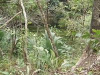 P3178499