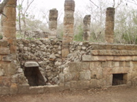 P3178503