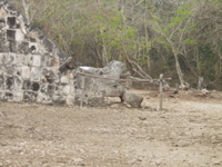 P3178506