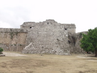 P3178531
