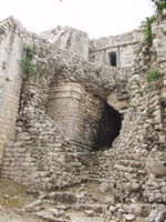 P3178533