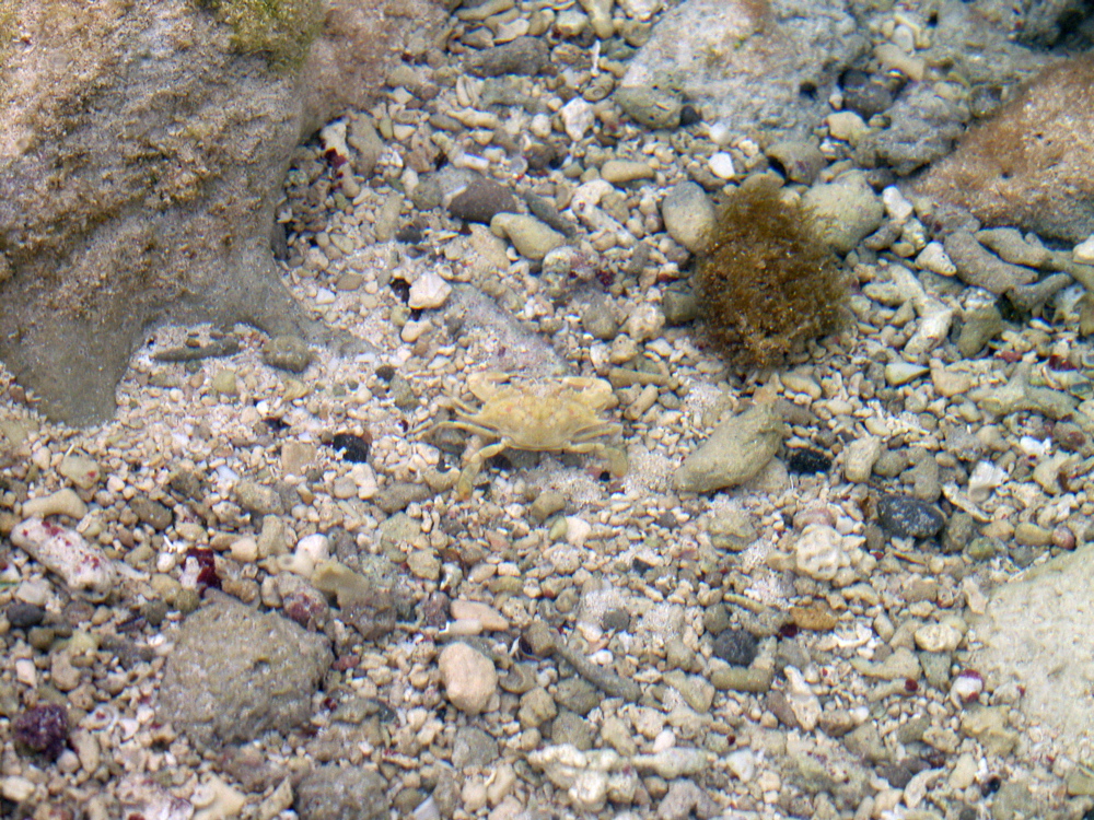 P3117714
