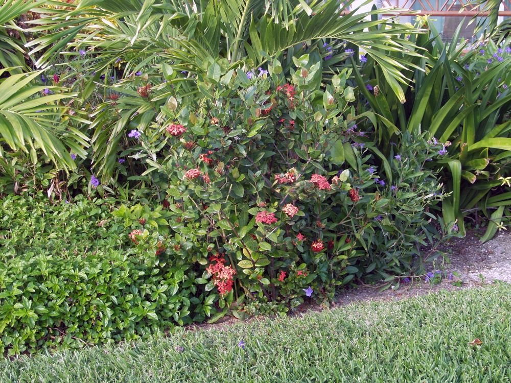 P3117675