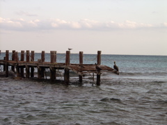 P3117716