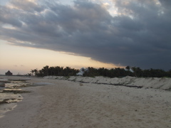 P3117723