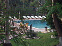 P3178382
