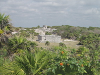 P3147972