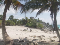 P3147984