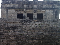 P3147989