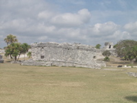 P3147955