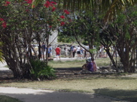 P3148026