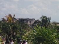 P3148059