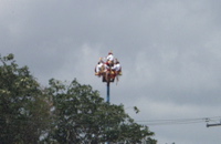 P3148068