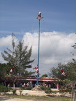 P3148069