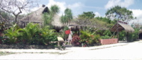 Tulum Hotel