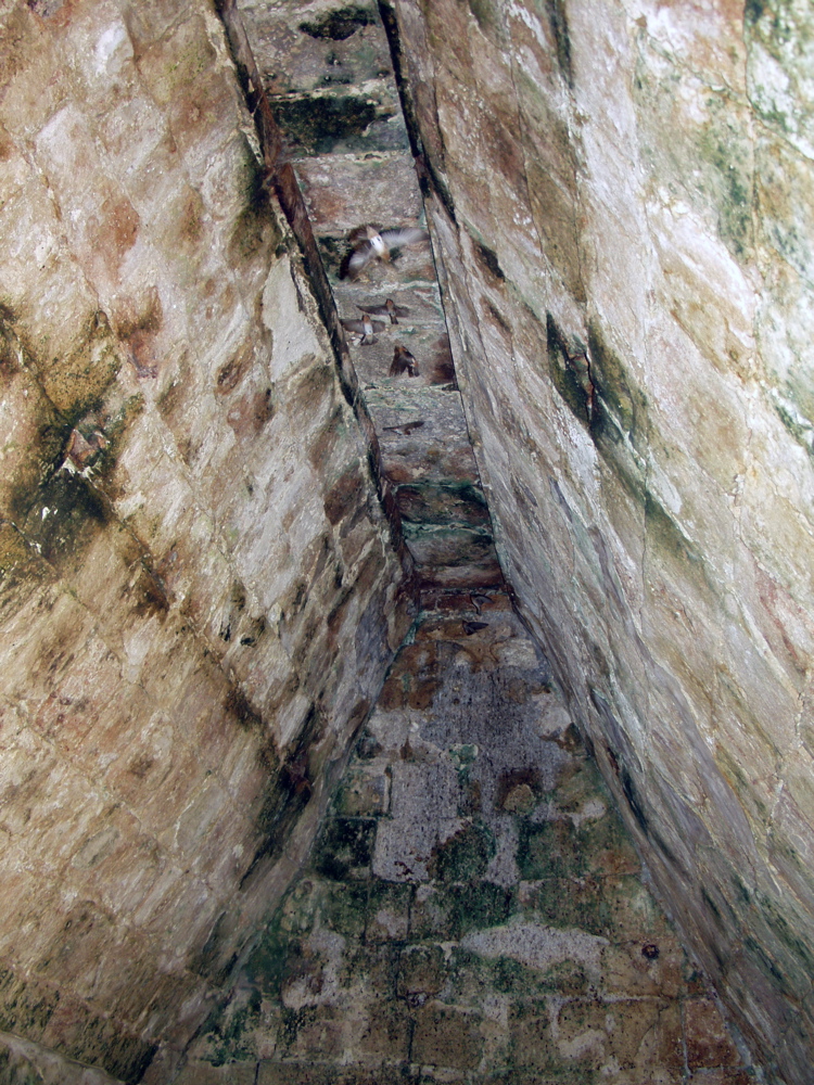 P3158138