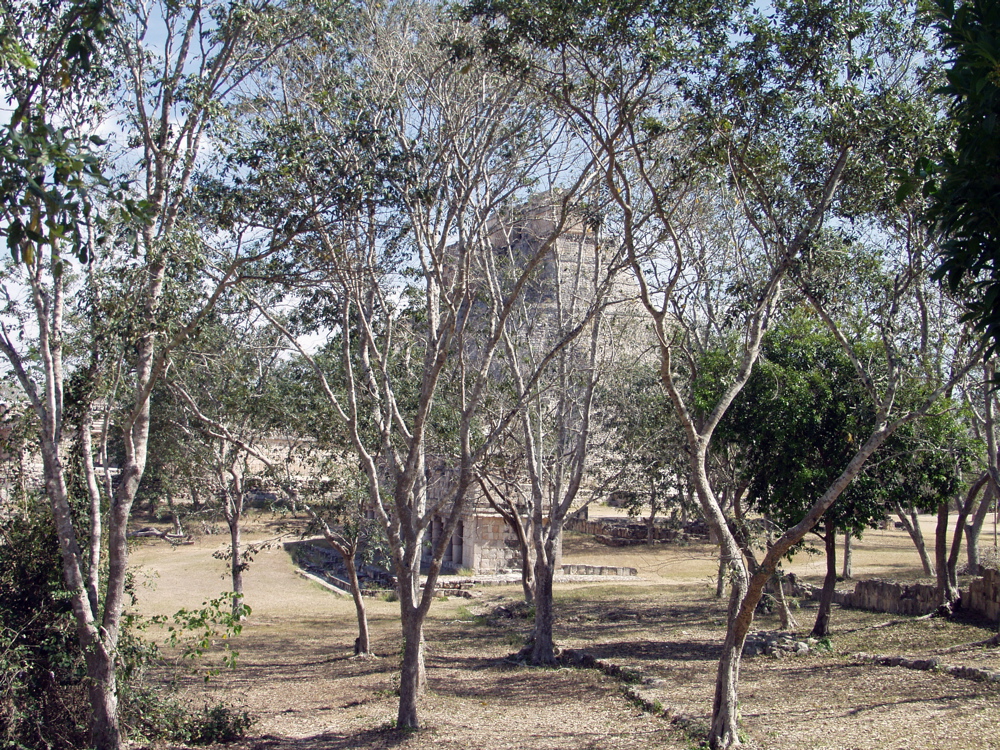 P3158169