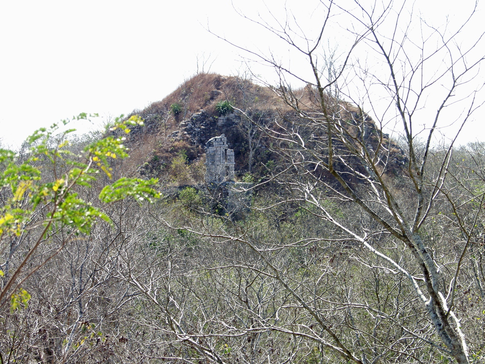 P3158195