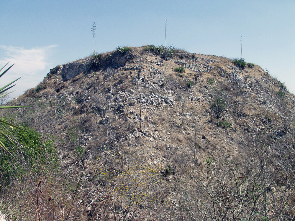 P3158219