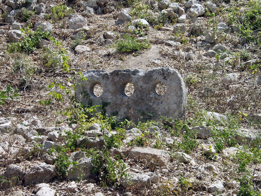 P3158232