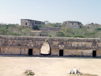 P3158164