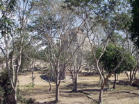 P3158169