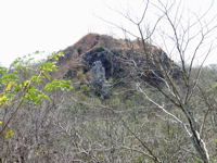 P3158195
