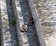 P3158200