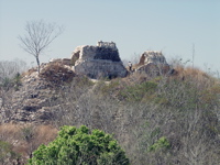 P3158208
